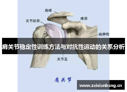 肩关节稳定性训练方法与对抗性运动的关系分析